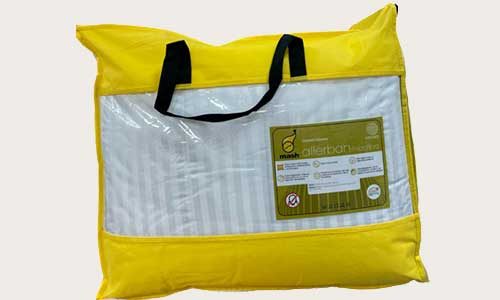 Imagen al pasar el ratón